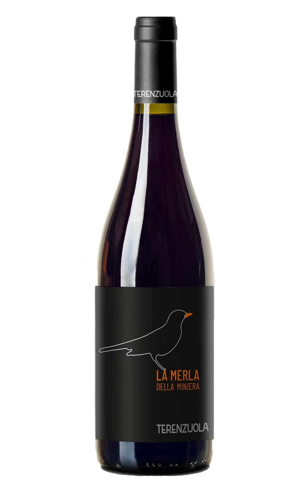Terenzuola Merla della Miniera Canaiolo Nero 2017 特倫佐拉酒莊 小黑鳥 卡那歐露紅酒