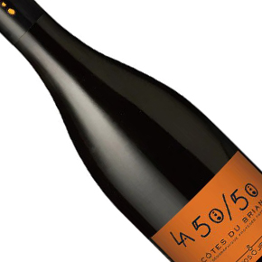 Domaine Anne Gros & Jean-Paul Tollot-"La 50 / 50" Côtes du Brian