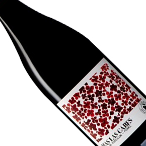 Domaine Gardiés-"Mas Las Cabes" Côtes du Roussillon Rouge
