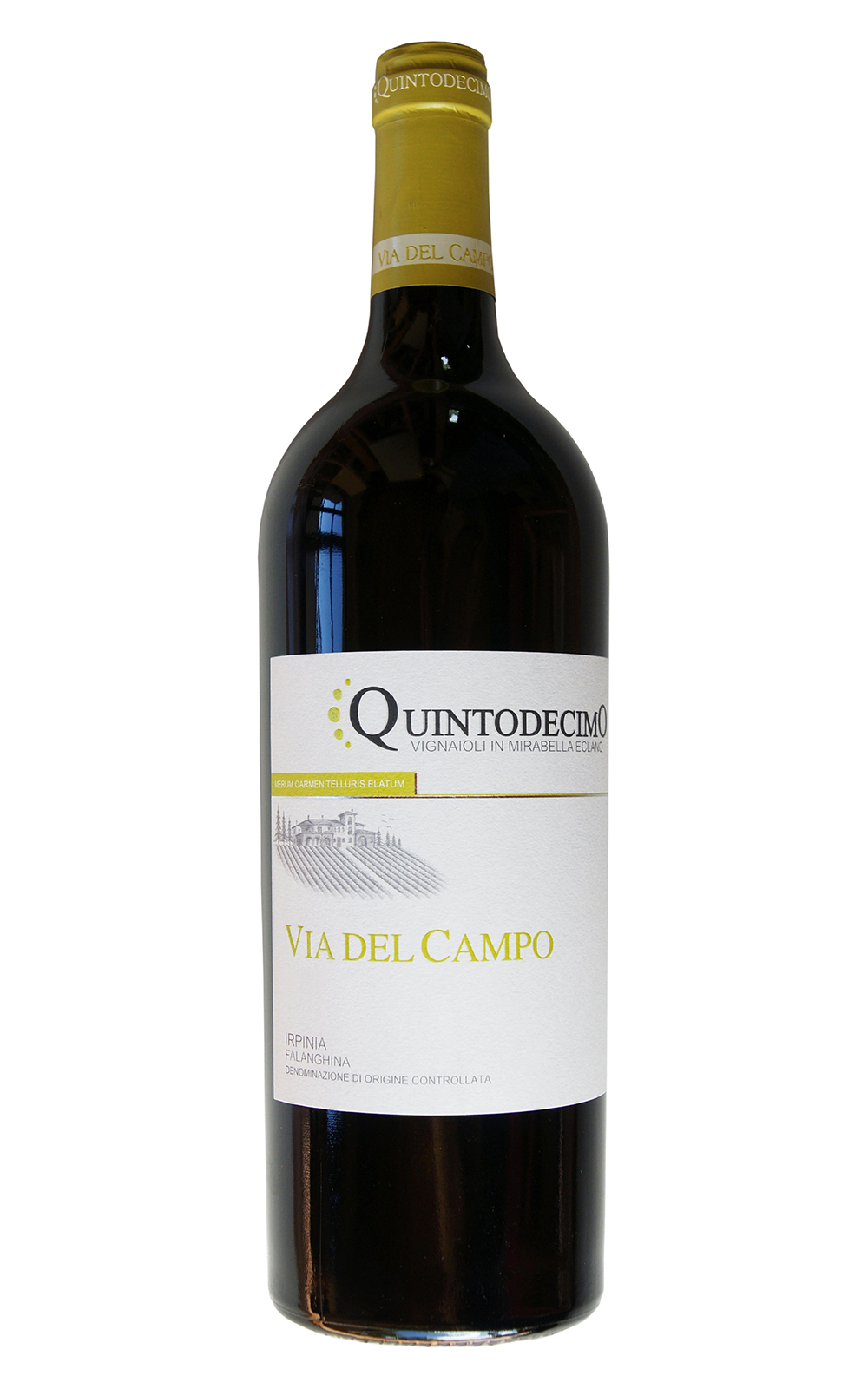 Quintodecimo Via del Campo Falanghina Irpinia 2018 昆投達奇莫酒莊 維亞德坎坡 法拉吉納白酒