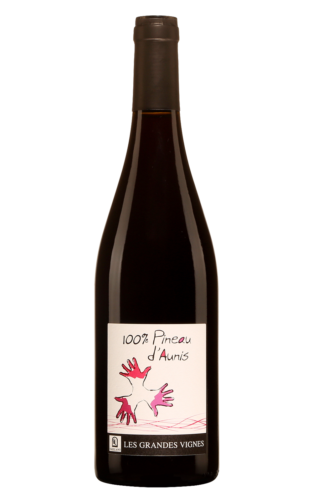 Domaine Les Grandes Vignes 100 Pineau d Aunis 2021 大葡酒莊 歐尼彼諾紅酒