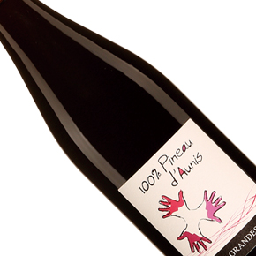 Domaine Les Grandes Vignes-100% Pineau d'Aunis