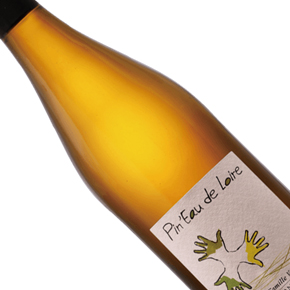 Domaine Les Grandes Vignes-Pin'Eau de Loire