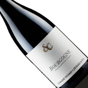 Domaine Sylvain Cathiard & Fils-Bourgogne Rouge