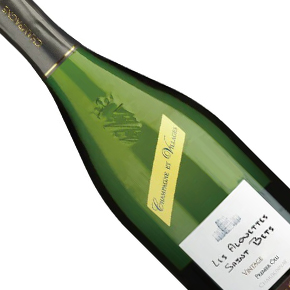 Champagne Hugues Godmé-"Les Alouettes Saint Bets" 1er Cru Extra Brut Millésime
