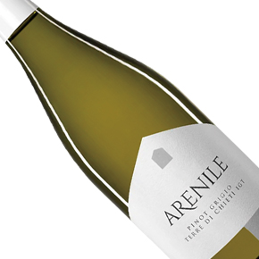 Novaripa-Terre di Chieti "Arenile" Pinot Grigio