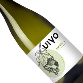 Folias de Baco-Uivo Loureiro Branco