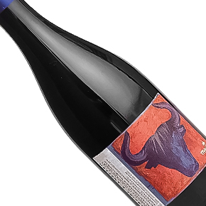 Cave d'Estézargues-"Domaine d'Andezon" Côtes-du-Rhône Villages Signargues Rouge