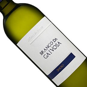 Alves de Sousa-Branco da Gaivosa