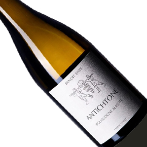 Benoit Ente-Bourgogne "Antichtone" Aligoté