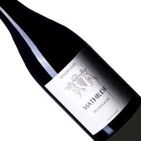 Benoit Ente-Bourgogne "Mathilde"