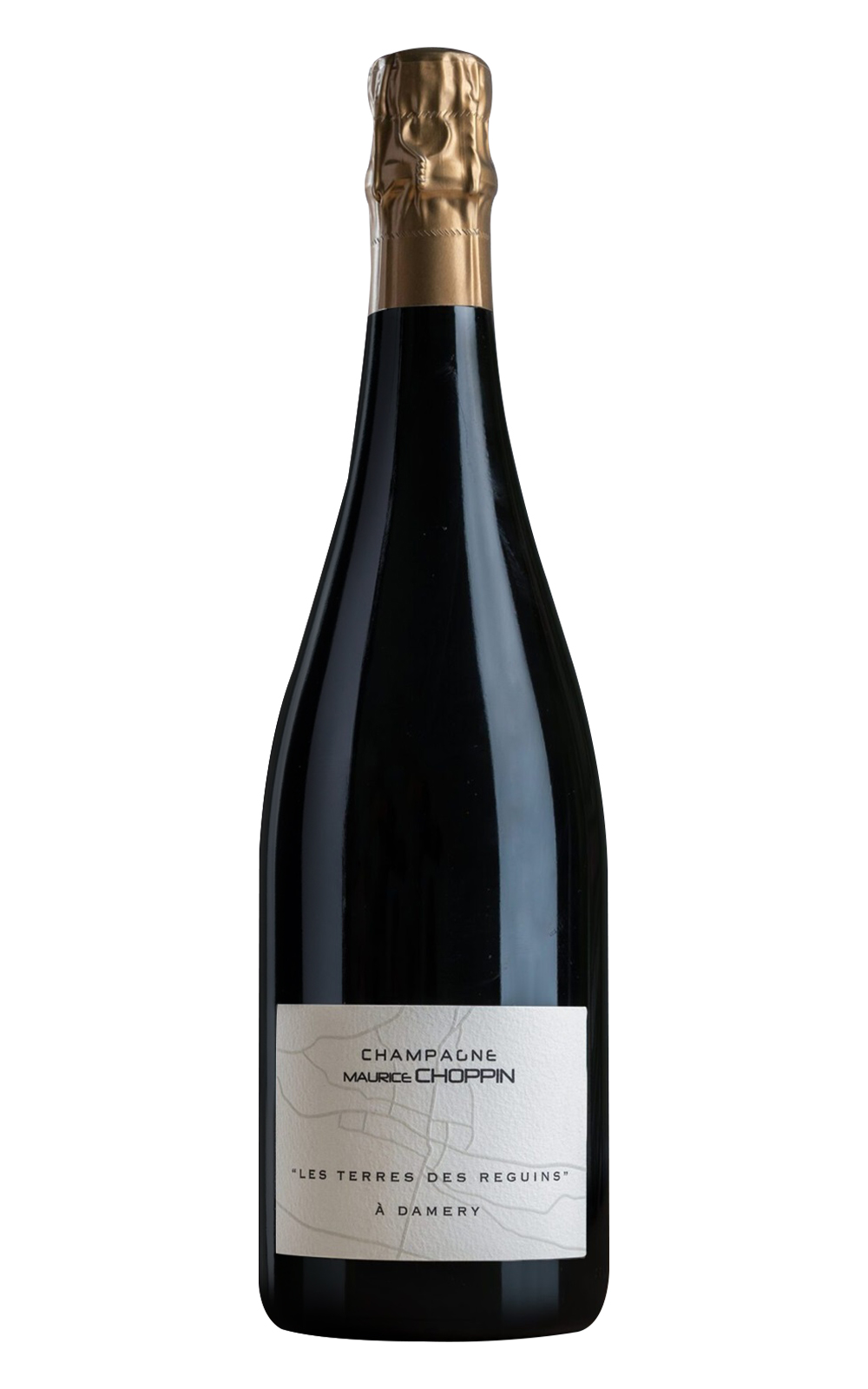 Champagne Maurice Choppin Les Terres des Reguins Millésime 2019 墨利斯 蕭龐香檳 鯊魚之地 年份香檳