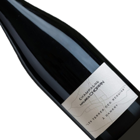 Champagne Maurice Choppin-"Les Terres des Reguins" Millésime