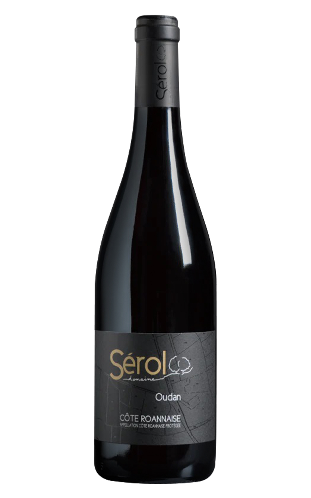 Domaine Serol Cote Roannaise Oudan 2021 瑟侯酒莊 胡安丘 歐丹 紅酒