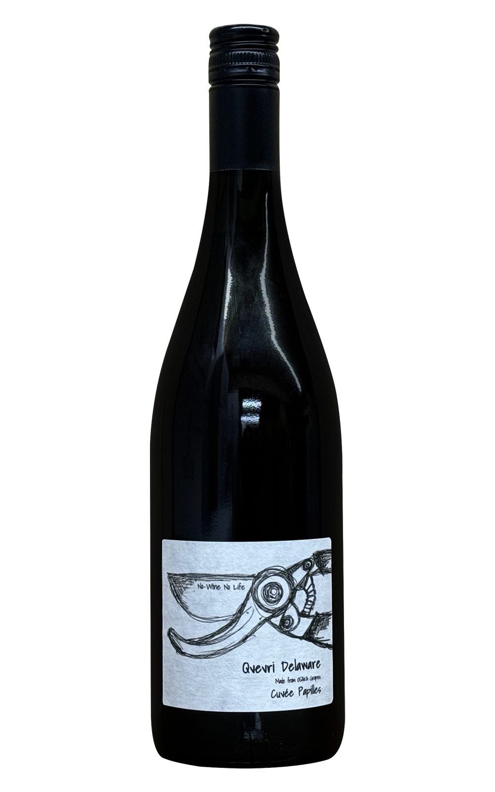 Fujimaru Winery Cuvee Papilles Qvevri Delaware 2018 藤丸酒莊 蝴蝶系列 陶甕德拉瓦白酒