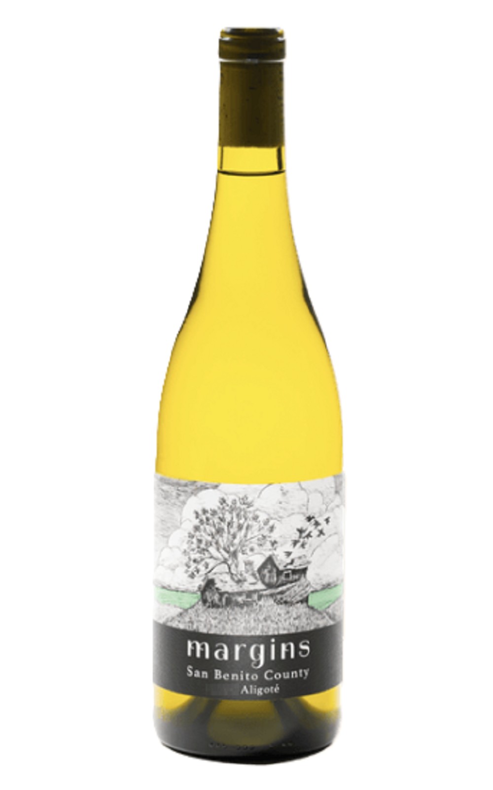 Margins Wine San Benito County Aligote 2024 邊界酒莊 聖貝尼托 阿里哥蝶白酒
