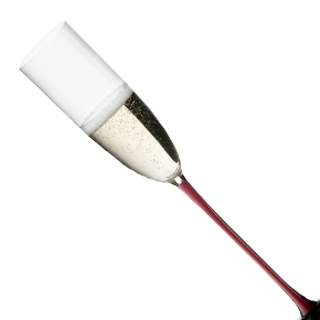 Riedel-Sommeliers Black Series Sparkling Wine