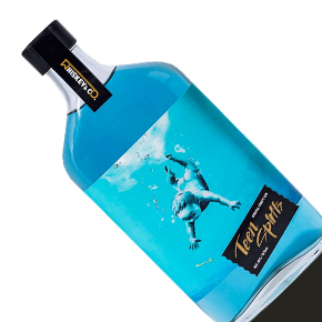 Whiskey & Co.-"Teen Spirits" Craft Gin