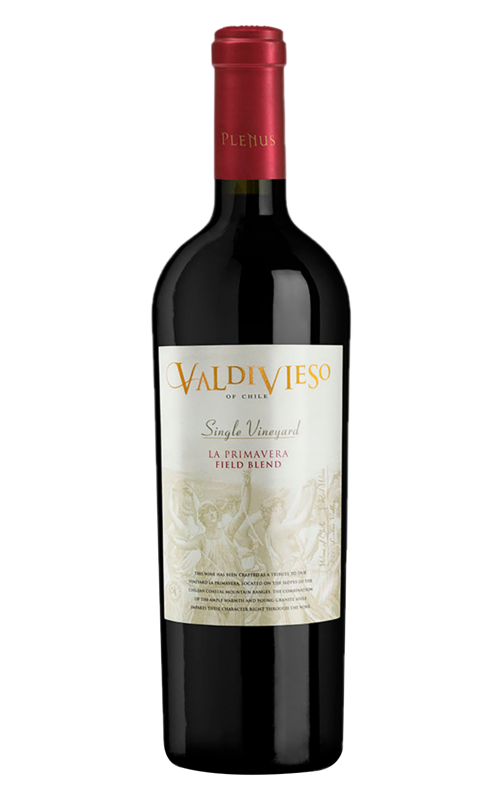 Vina Valdivieso La Primavera Single Vineyard Field Blend 2005 威帝偉士酒莊 春天 頂級旗艦紅酒