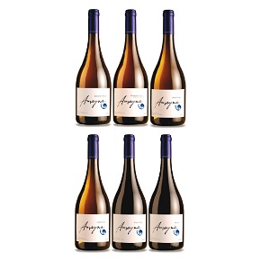 Viña Garcés Silva-Amayna Red & White 6 Bottle Set (750ml*6)