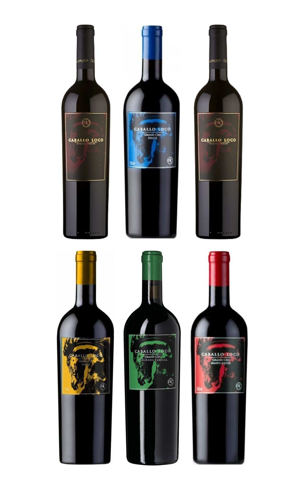 Vina Valdivieso Caballo Loco Special 6 Bottles Set NV 威帝偉士酒莊 巔馬珍藏六入木箱組合 兩大巔 四小巔
