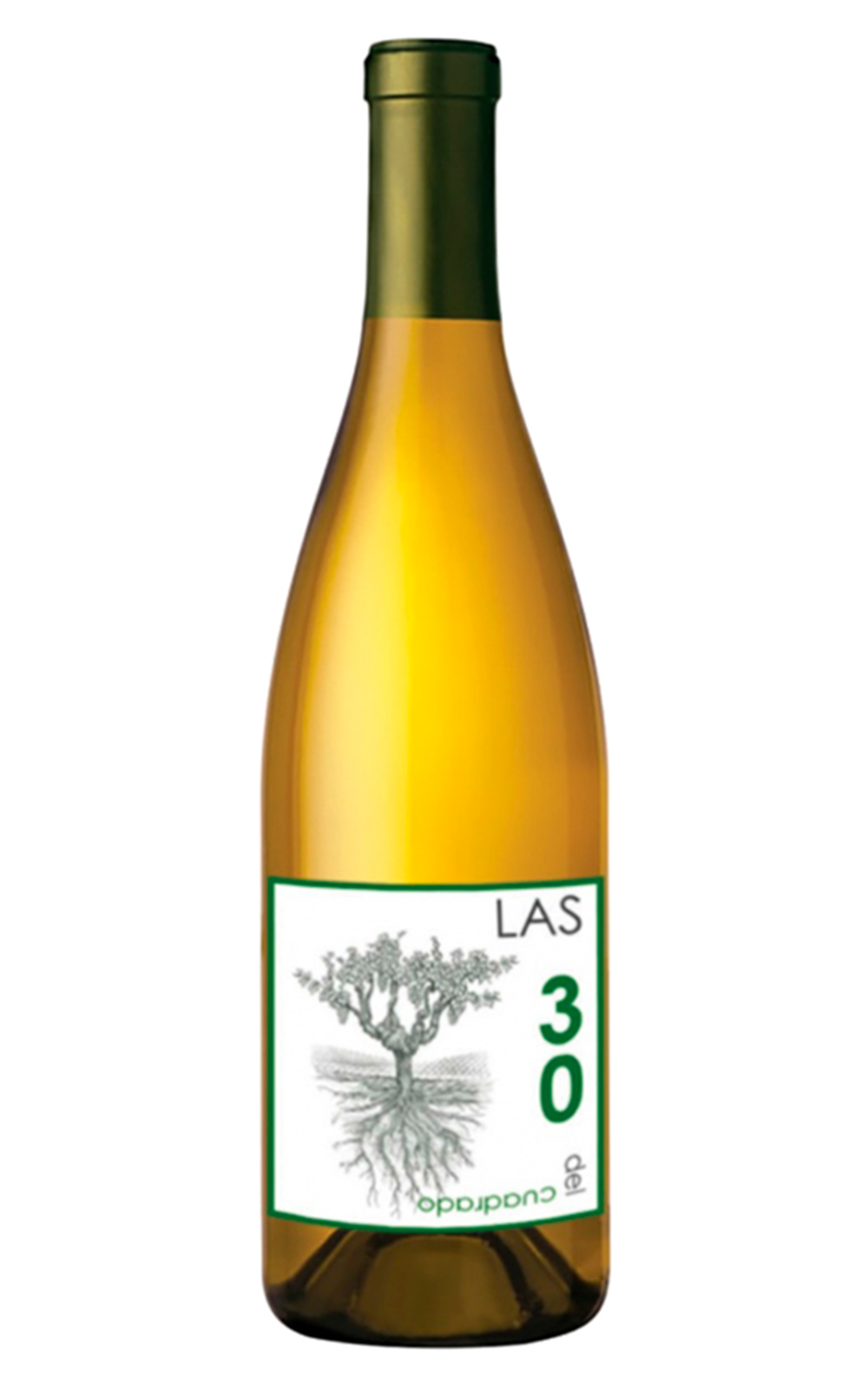 Bodegas Hidalgo Las 30 del Cuadrado 2020 西達歌酒莊 正田 30 畝 白酒