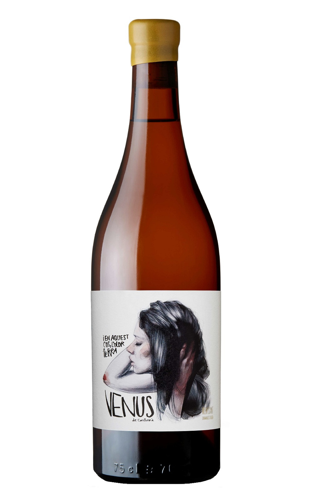 Venus la Universal Venus de Cartoixa Montsant Blanc 2014 維那斯酒莊 維納斯 卡多恰 蒙桑特白酒