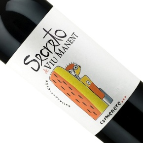 Viu Manent-Secreto Carmenere
