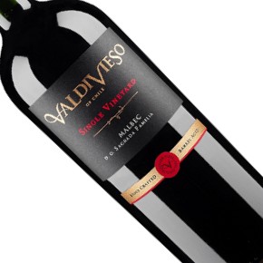 Viña Valdivieso-Single Vineyard Malbec