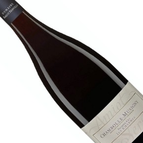 Domaine Amiot-Servelle-Chambolle-Musigny 1er Cru "Les Charmes"