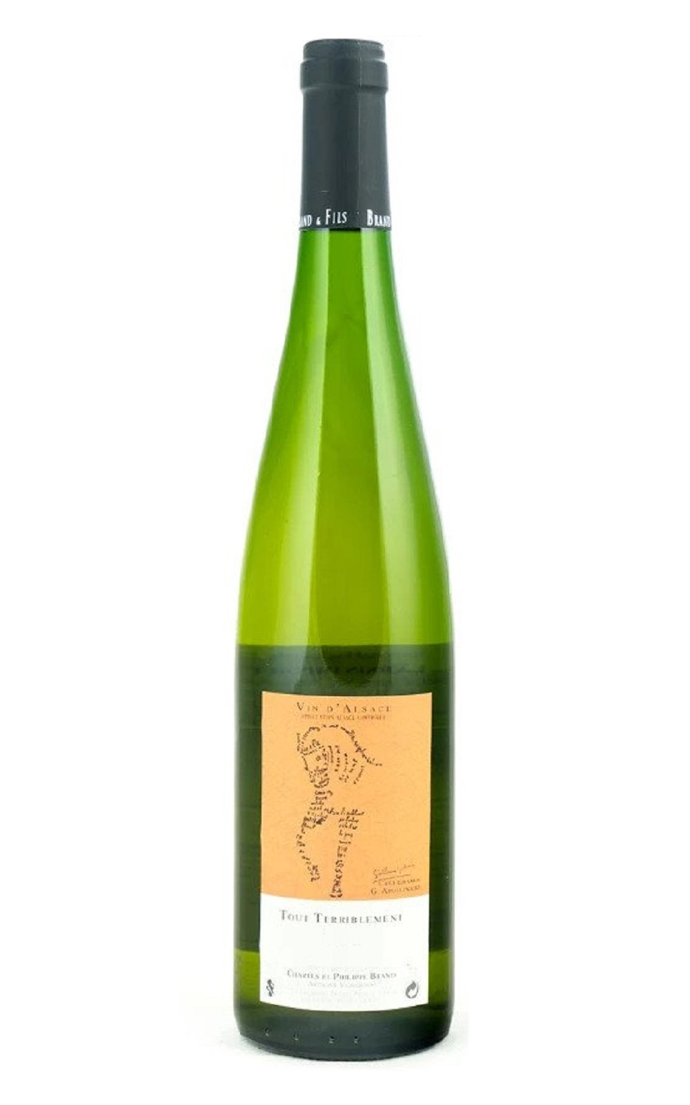 Domaine Brand Fils Tout Terriblement Blanc 2017 布蘭德酒莊 驚驚馬系列 格烏茲塔明那白酒