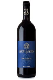 Hofkellerei des Fürsten von Liechtenstein Selektion Karlsberg Zweigelt Profundo 2011 列支敦斯登 王子酒莊 皇室典藏 席瓦格紅酒