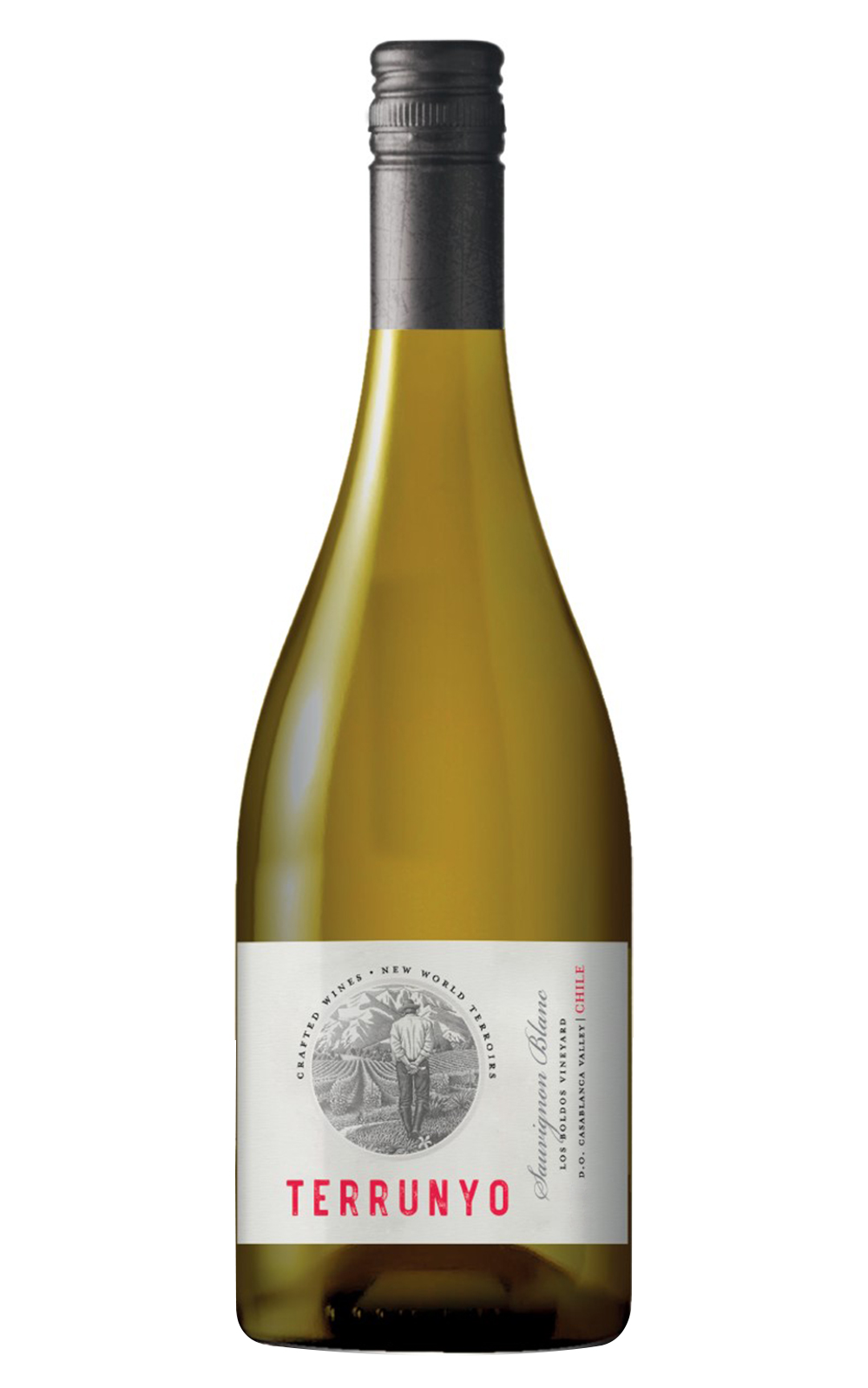 Vina Concha y Toro Terrunyo Sauvignon Blanc 2022 孔雀酒廠 泰若妮系列 白蘇維濃白酒