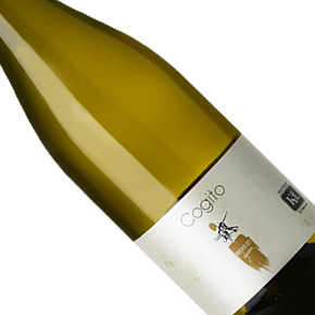 Domaine Bedouet-"Cogito"