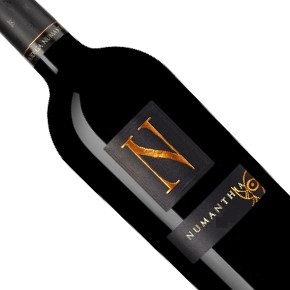Bodega Numanthia-Numanthia