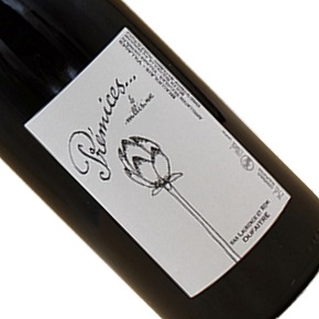 Laurence et Rémi Dufaitre-Beaujolais Villages Cuvee Premices