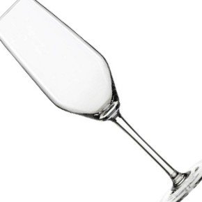 Spiegelau-Style Champagne Flute