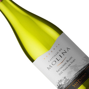 Viña San Pedro-Castillo de Molina Reserva Sauvignon Blanc