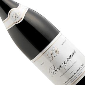 Domaine Lucien Boillot & Fils-Bourgogne Rouge