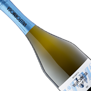 Vallformosa-Col．Leccio Brut Reserva