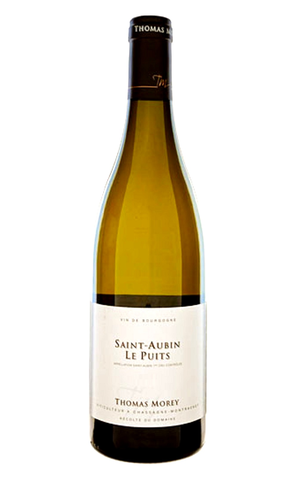 Domaine Thomas Morey Saint Aubin 1er Cru Le Puits 2009 湯瑪 莫瑞酒莊 聖歐班 樂皮 一級園白酒