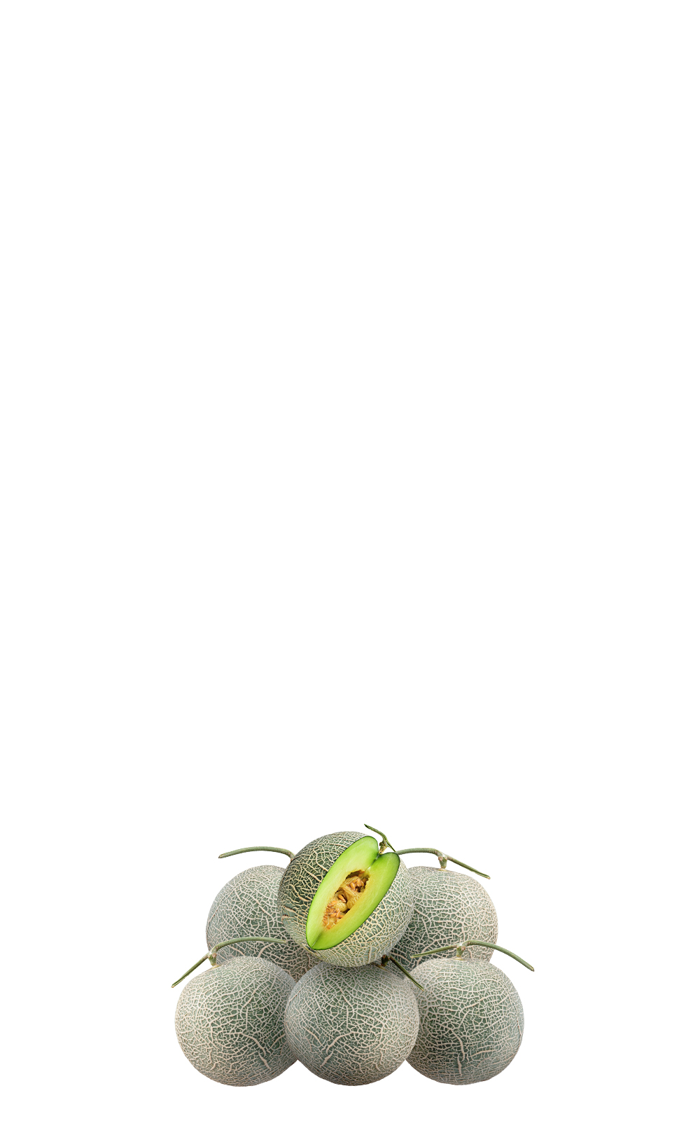 一畝好田 阿露絲 A級麝香哈蜜瓜 六入