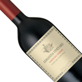 Catena Zapata-"Adrianna Vineyard - Fortuna Terrae" Malbec