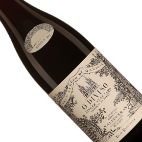 Compañía de Vinos Telmo Rodríguez-Ladeiras do Xil "O Diviso"