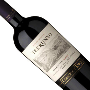 Viña Concha y Toro-Terrunyo Carmenere