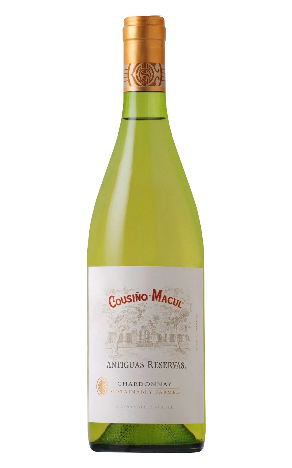 Cousino Macul Antiguas Reservas Chardonnay 2017 庫奇諾酒莊 庫奇諾夏多內白酒