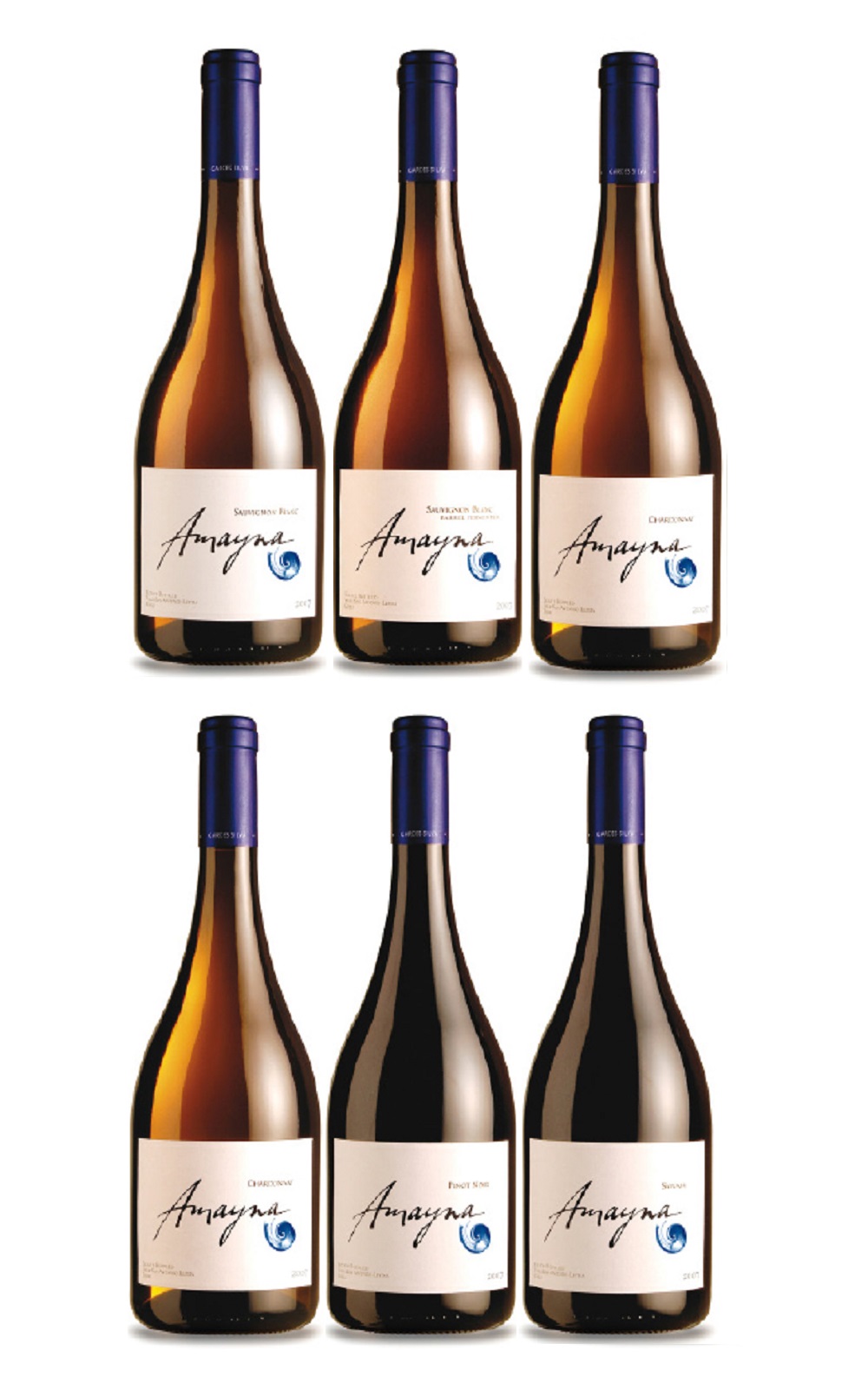 Vina Garces Silva Amayna Red White 6 Bottle Set 750ml 6 NV 格爾西斯 席爾瓦酒莊 雅瑪納紅白酒六瓶組 750ml 6