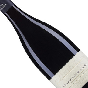 Domaine Amiot-Servelle-Chambolle-Musigny