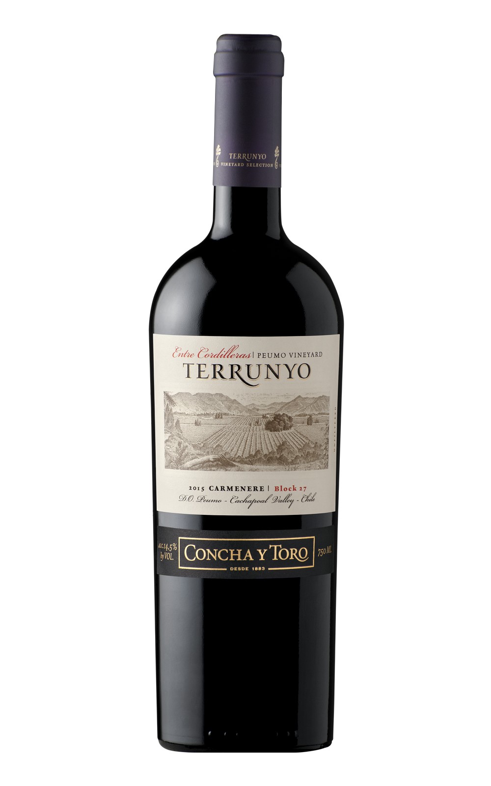 Vina Concha y Toro Terrunyo Carmenere 2019 孔雀酒廠 泰若妮系列 卡門內紅酒