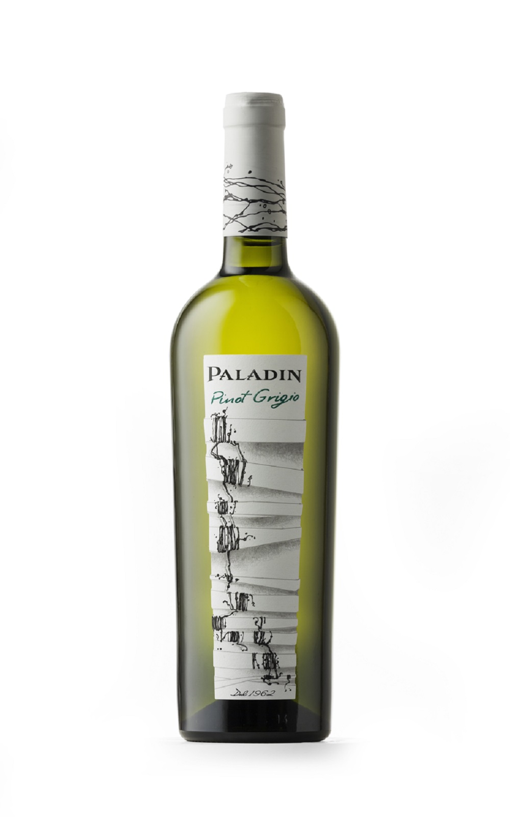 Paladin Venezia Pinot Grigio 2017 巴拉丁酒莊 威尼斯灰皮諾白酒